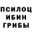 Псилоцибиновые грибы GOLDEN TEACHER deadpool 111