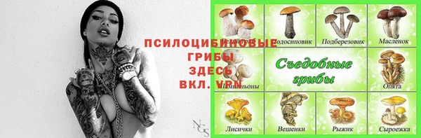 сатива Аркадак