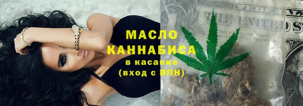 сатива Аркадак