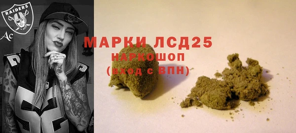 сатива Аркадак