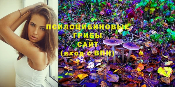 гидропоника Армянск