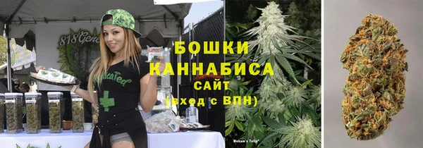 сатива Аркадак