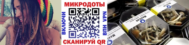 Галлюциногенные грибы ЛСД  блэк спрут рабочий сайт  Салехард 